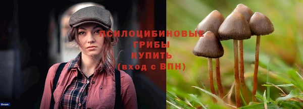 МДПВ Пестово