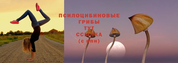 МДПВ Пестово