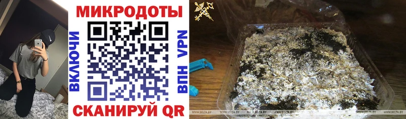 Галлюциногенные грибы Psilocybe  Семилуки 