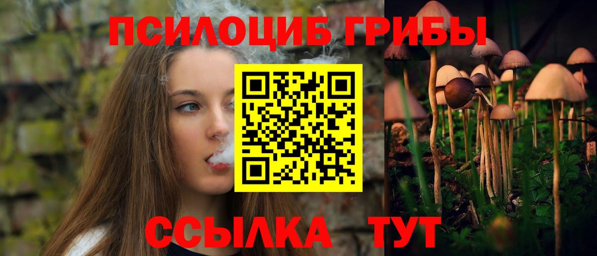Псилоцибиновые грибы прущие грибы  Семилуки 