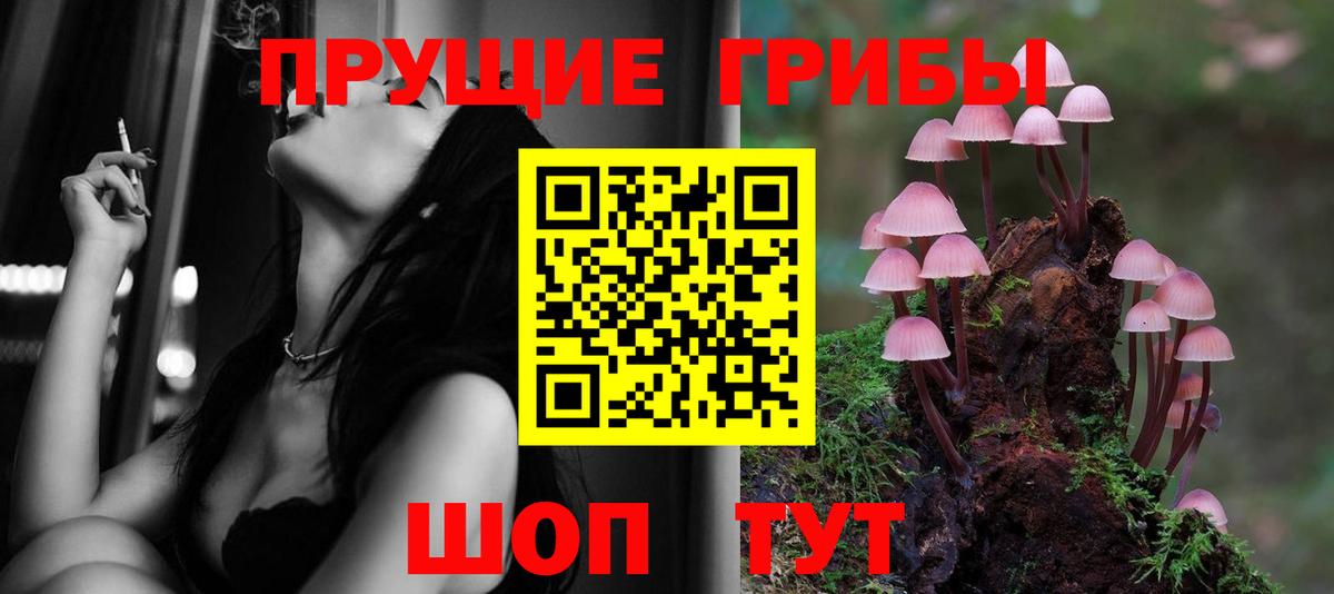 Псилоцибиновые грибы Psilocybine cubensis Семилуки